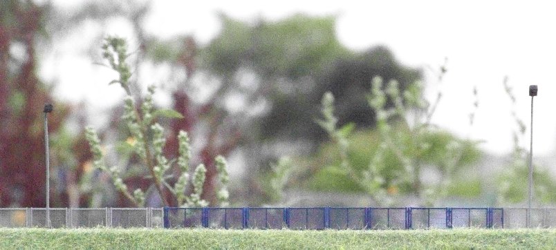 z.Z. nicht verfügbar